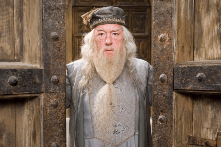 dumbledore gay