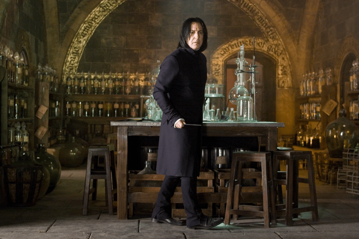 Sweat capuche premium Serdaigle, Maison Harry Potter – Image 3