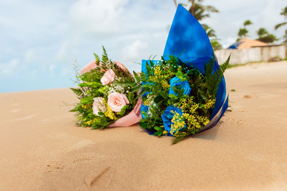 Bouquet Portugais Free : Votre Guide Complet pour Profiter de la Télévision Portugaise Sans Frais