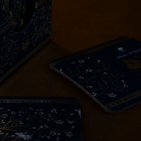 4 Sous-Verres Famille Black, Harry Potter