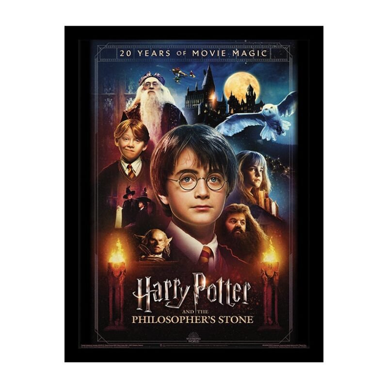 Impression encadrée Harry Potter 20 Years Of Movie Magic 30 x 40 cm