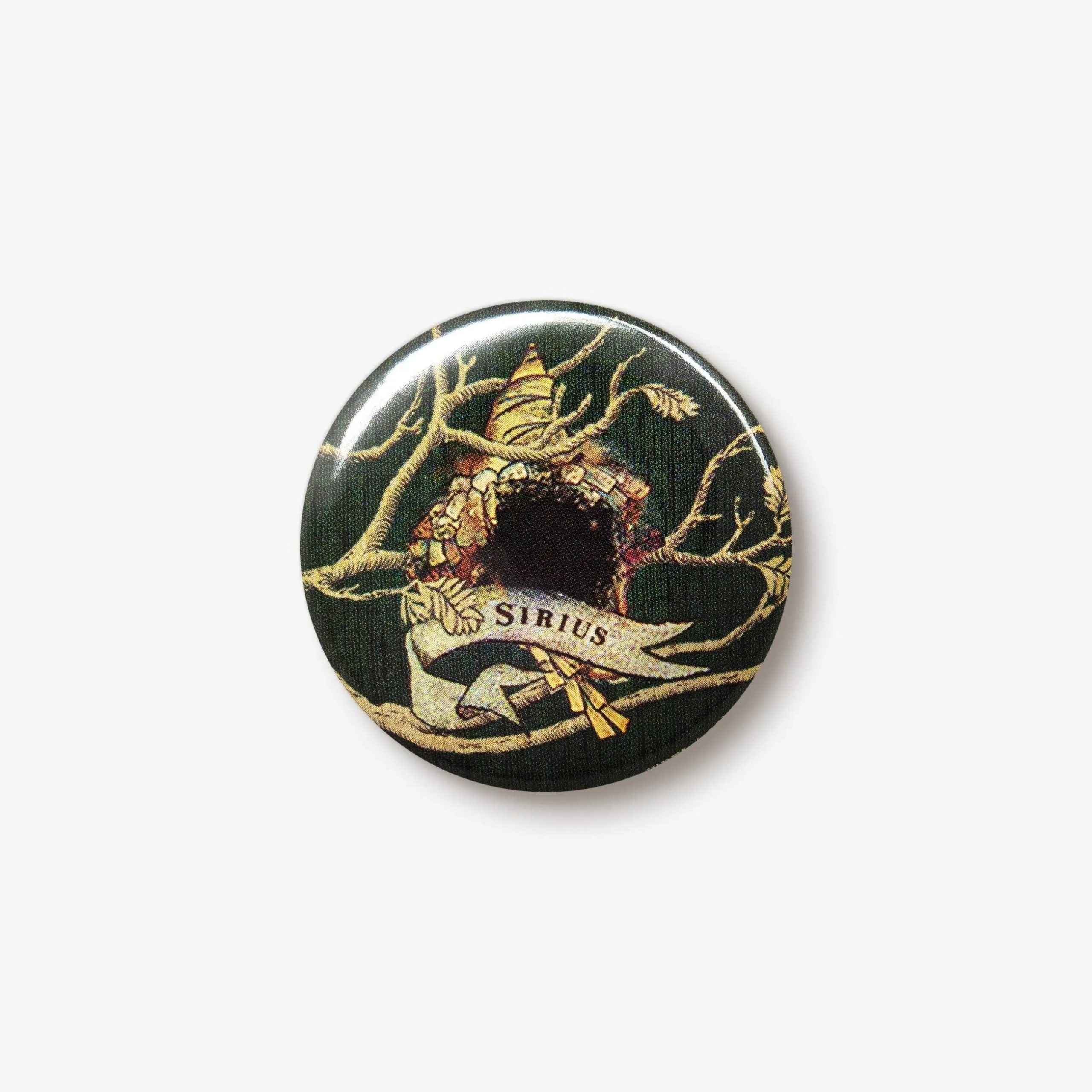 Badge Tapisserie Black Sirius Black Harry Potter