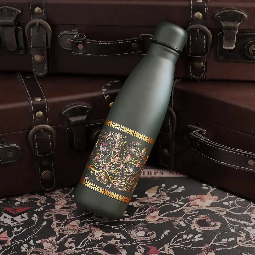 Bouteille Isotherme Famille Black 500ml, Harry Potter