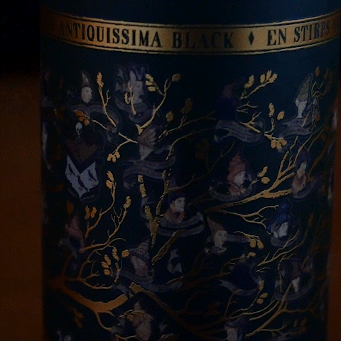 Bouteille Isotherme Famille Black 500ml, Harry Potter