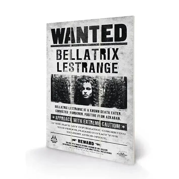 Cadre Bellatrix Wanted Harry Potter