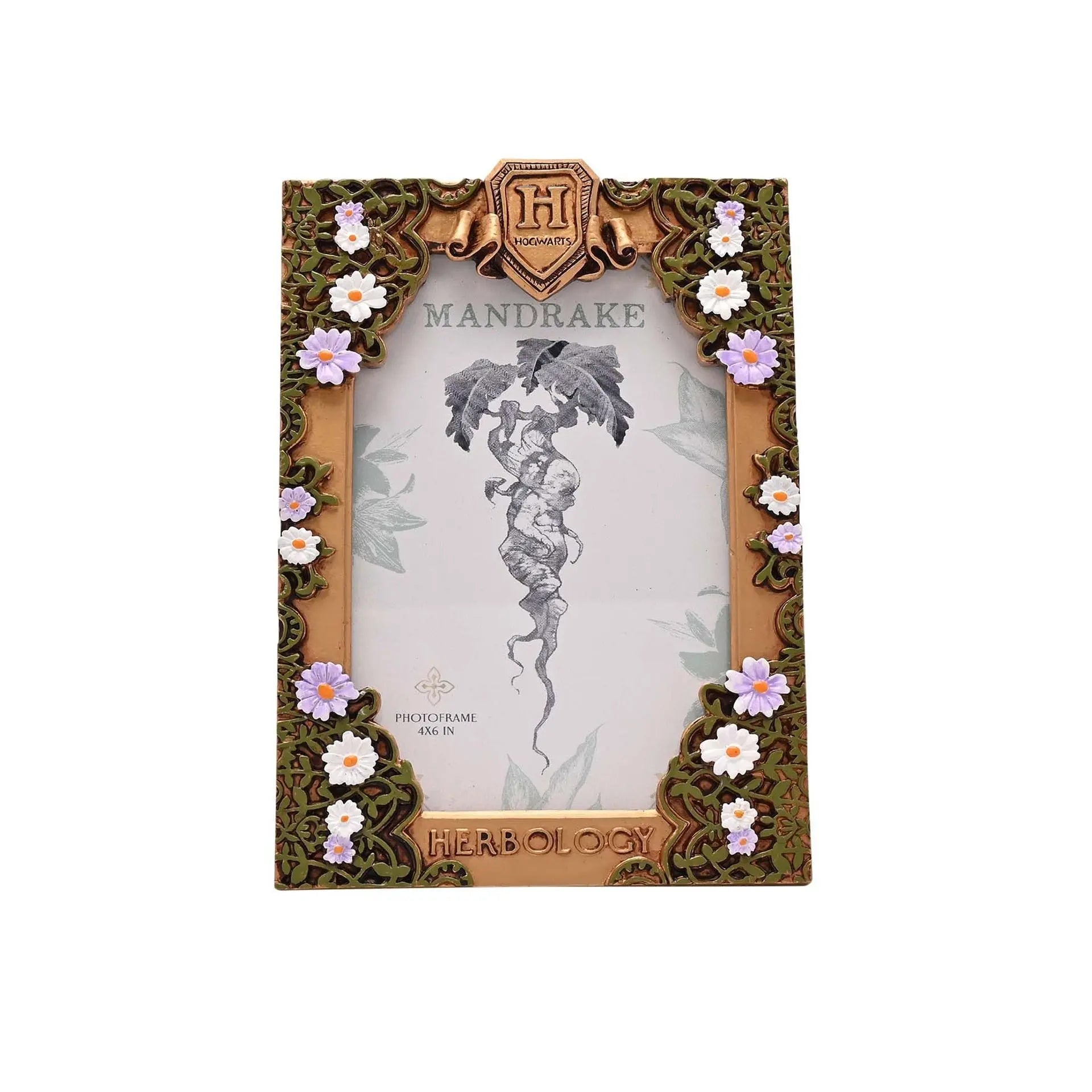 Cadre Photo Herbology Doré, Harry Potter