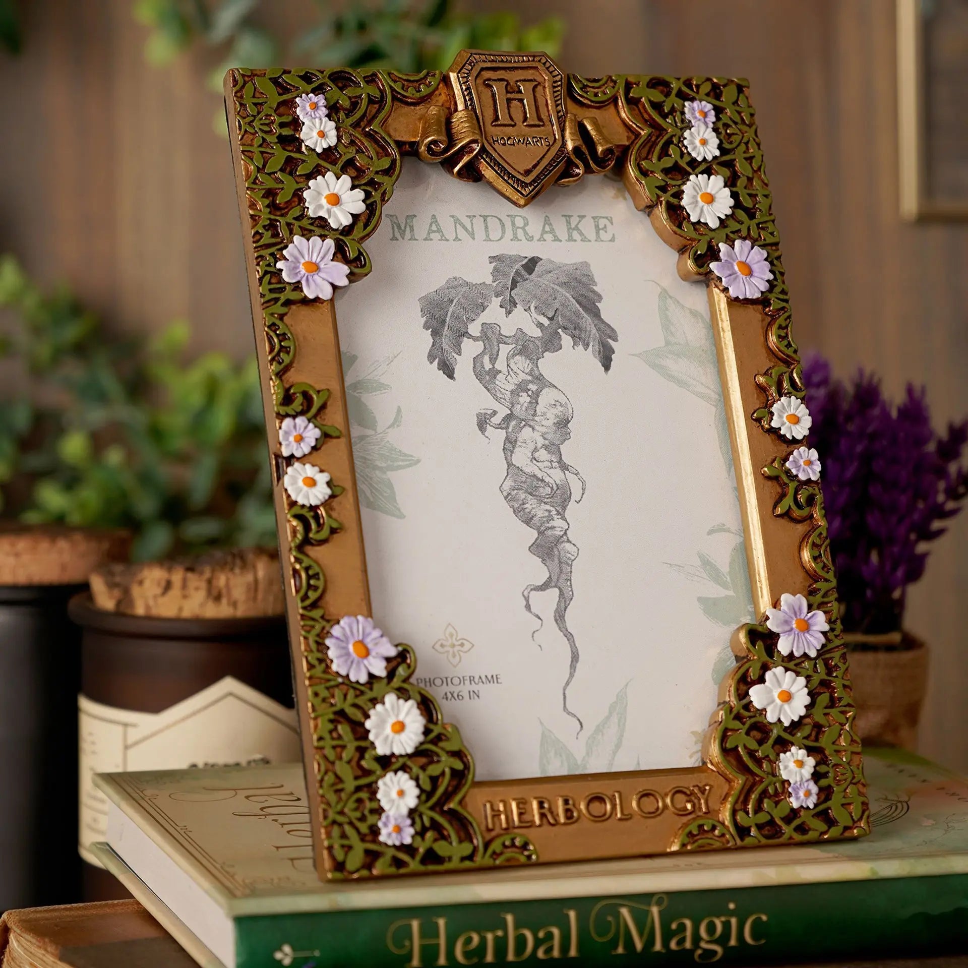 Cadre Photo Herbology Doré, Harry Potter