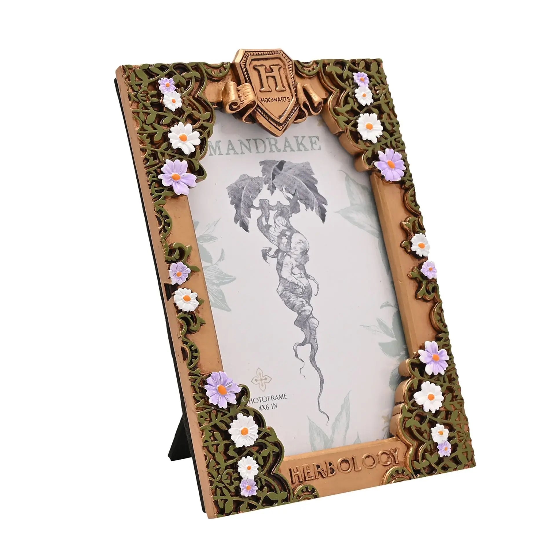 Cadre Photo Herbology Doré, Harry Potter