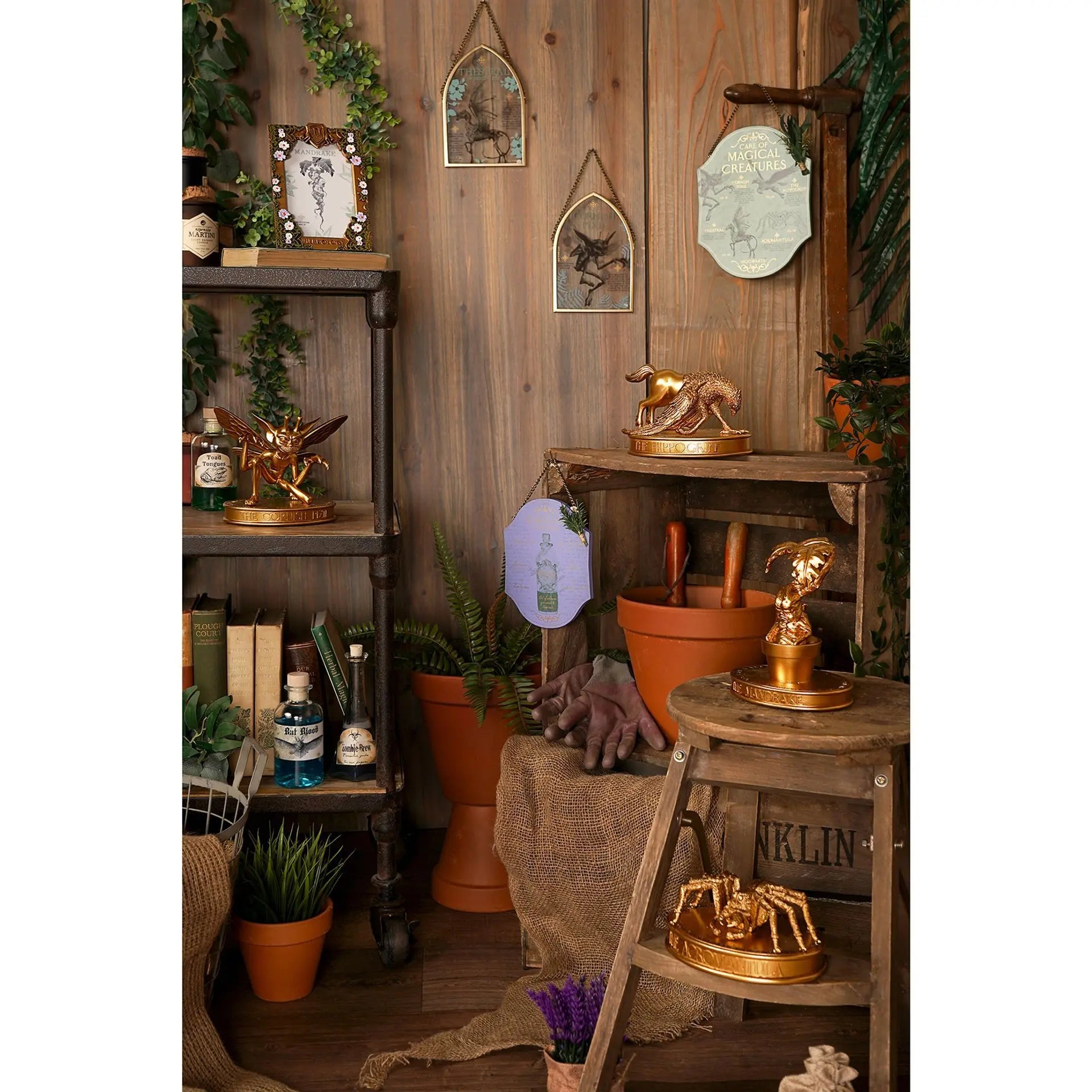 Cadre Photo Herbology Doré, Harry Potter