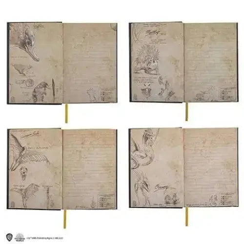 Carnet Animaux Fantastiques avec Marque-page Harry Potter