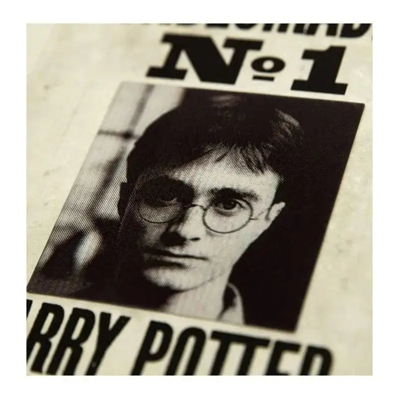 Carte + Enveloppe Minalima Harry Undesirable Lenticulaire Harry Potter