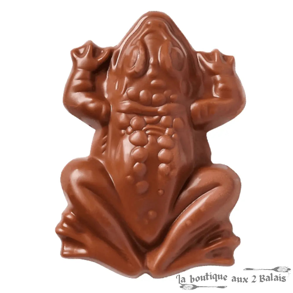 Chocogrenouille en Chocolat - Confiserie Harry Potter