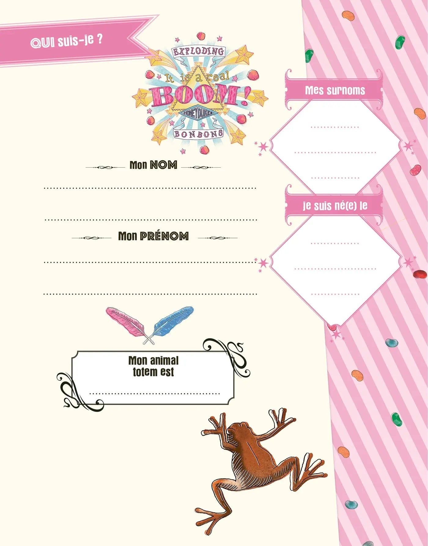 Coffret Journal Secret Harry Potter Honeydukes
