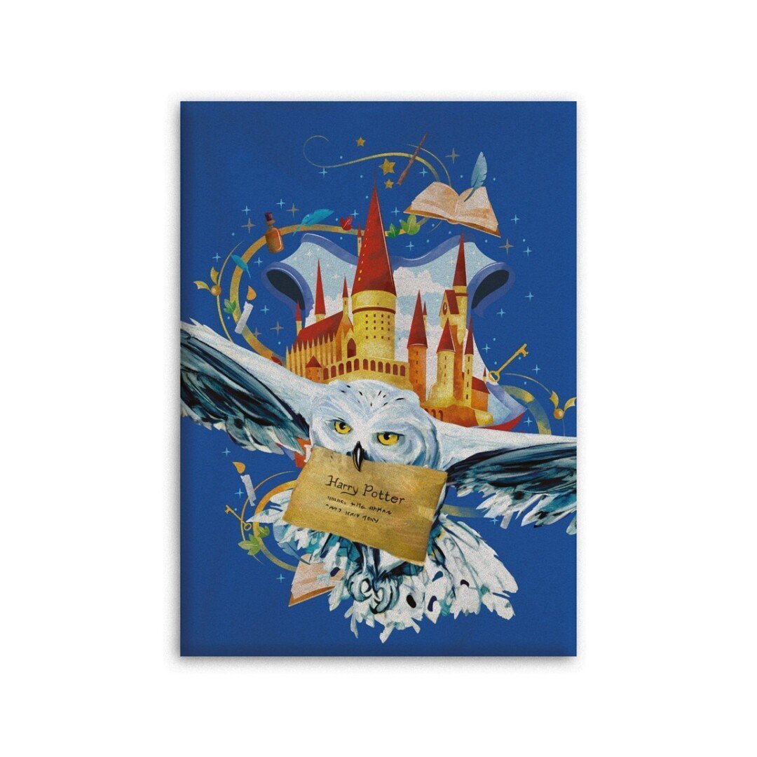 Plaid Harry Potter Hedwige et lettre d’admission