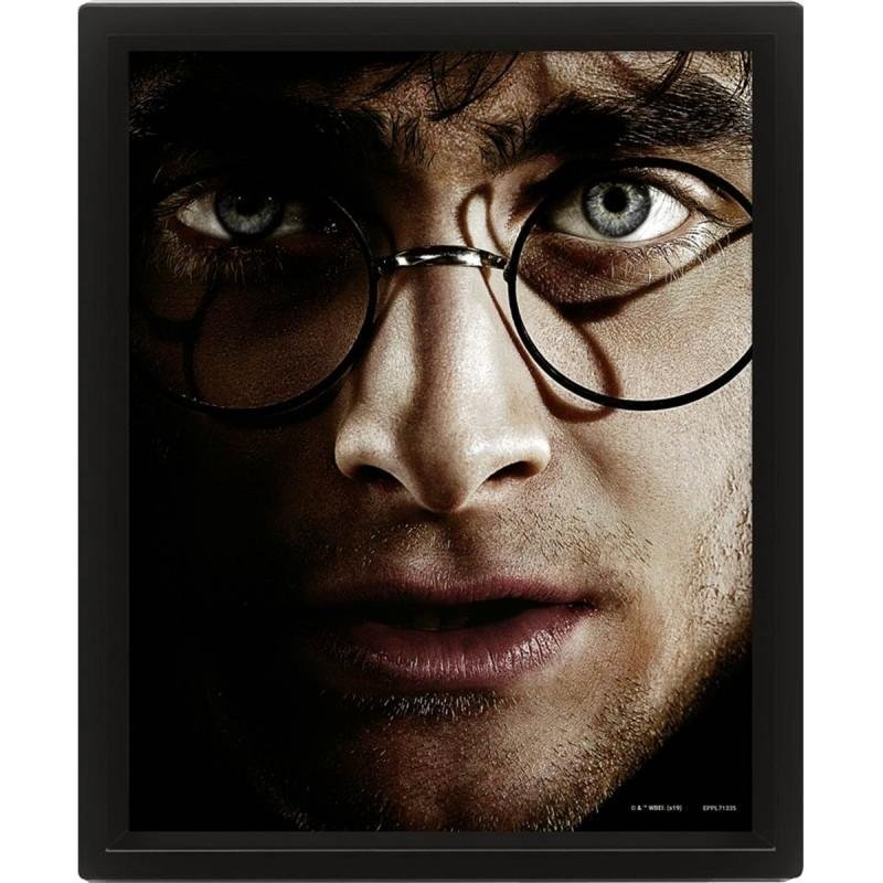 Poster Lenticulaire 3D - Harry vs Voldemort (26X20cm)