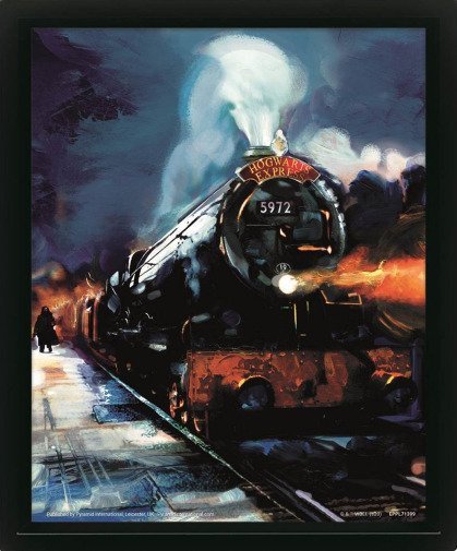 Poster Lenticulaire 3D - Poudlard Express (29X24X4cm) Harry Potter