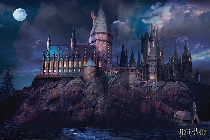 Poster Harry Potter - Poudlard (61X91cm)