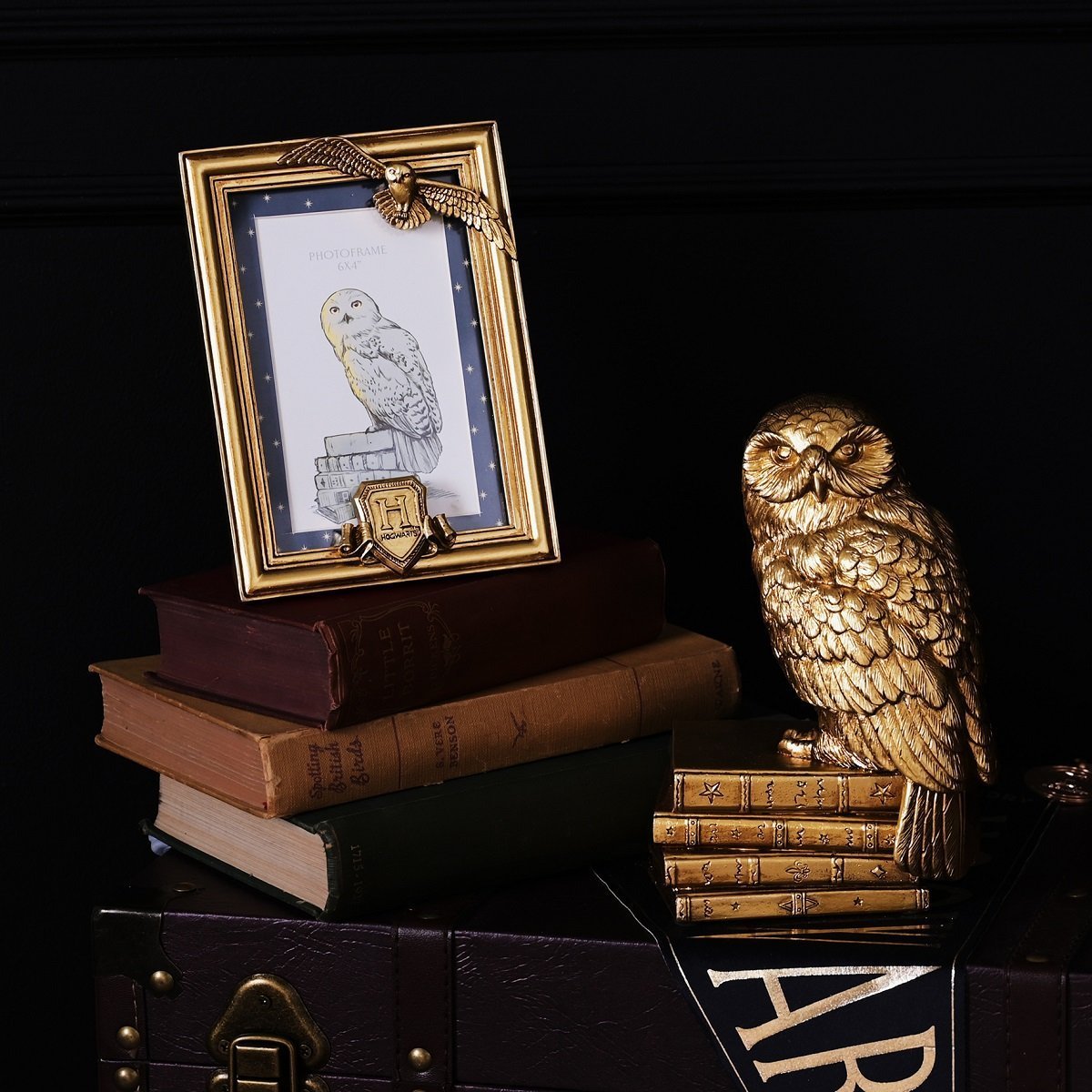 Cadre photo Harry Potter avec Hedwige