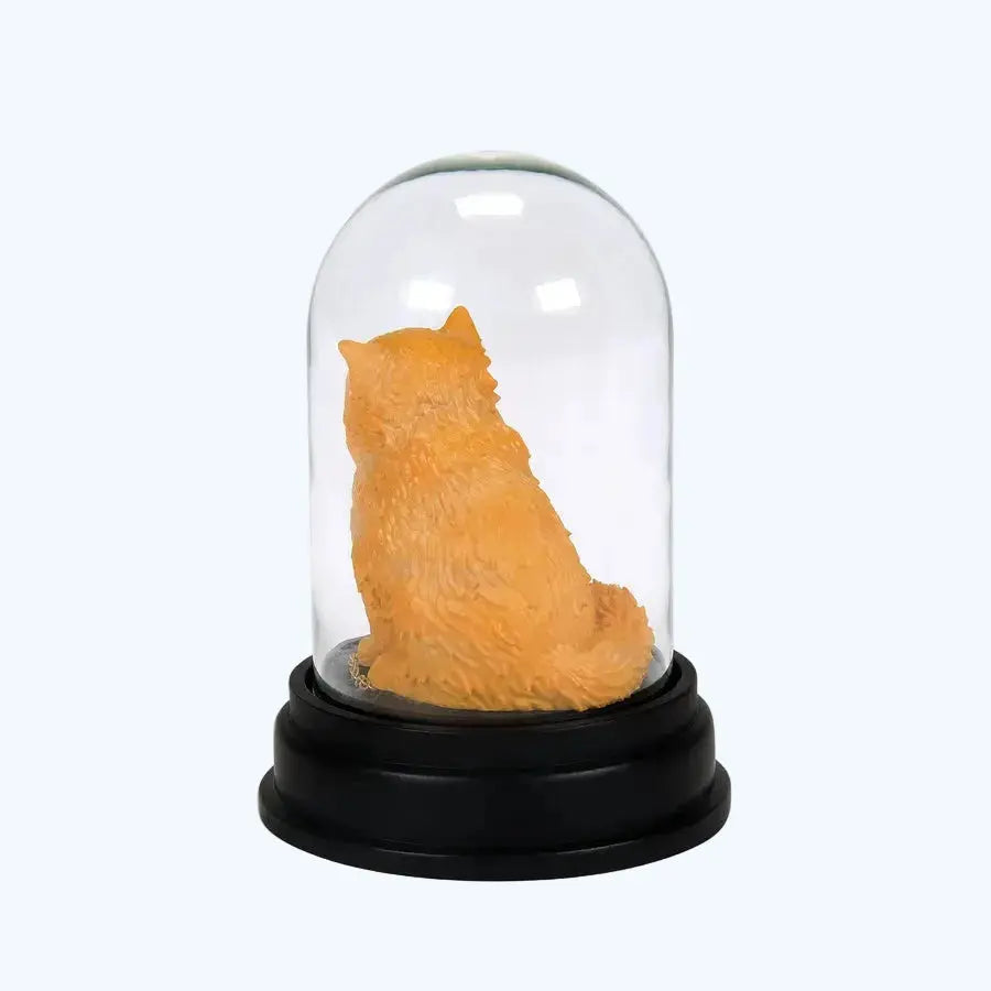 Figurine Pattenrond sous Cloche