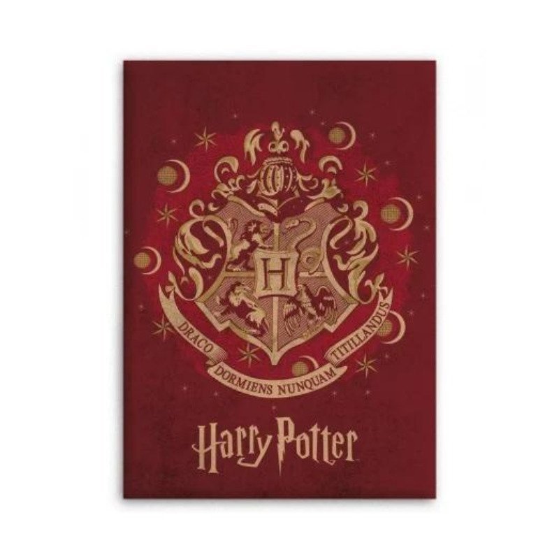 Plaid Harry Potter Poudlard polaire en microfibre 70x140cm