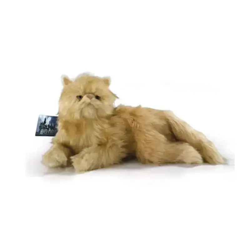 Grande Peluche Pattenrond