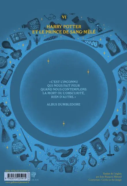 Harry Potter Tome 6 : Le Prince de Sang-Mêlé, Grand Format