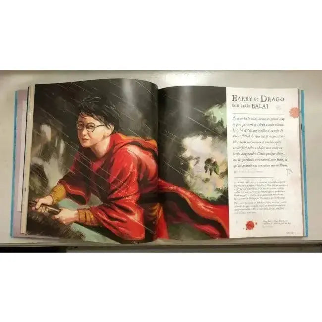 Harry Potter à la découverte de la Magie