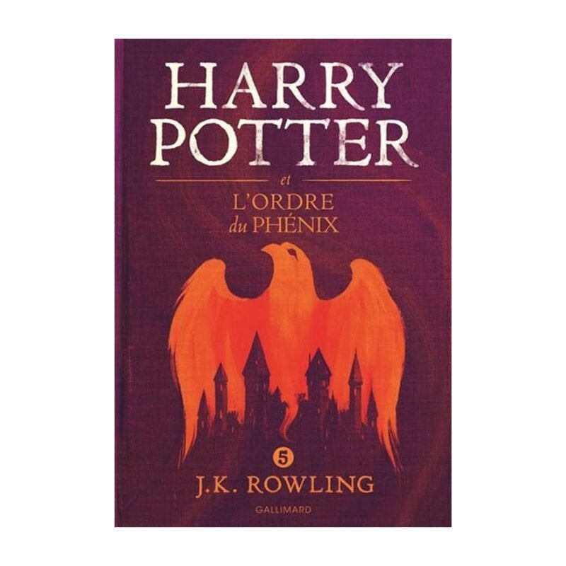 Harry Potter Tome 5 en grand format, L’Ordre du Phénix