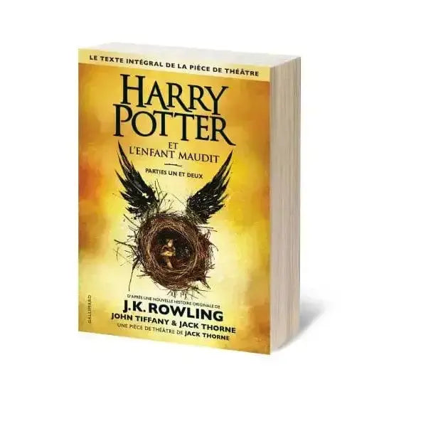 Harry Potter et l'Enfant Maudit, Parties 1 et 2 - Petit format 448 pages