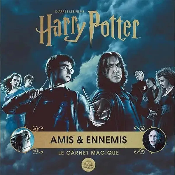 Le Carnet Magique 6, Amis et Ennemis Harry Potter