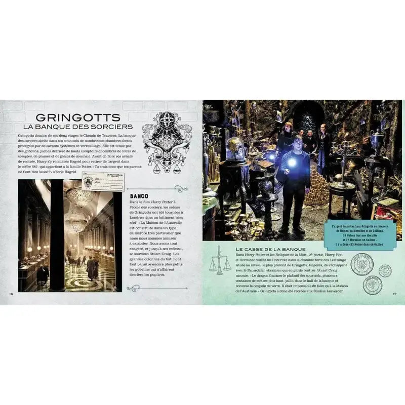 Le Carnet Magique, Le Chemin de Traverse Harry Potter
