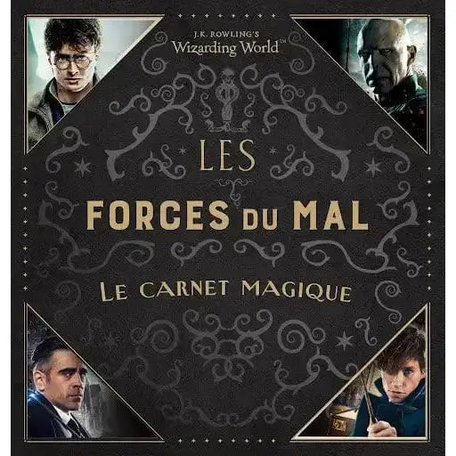 Le Carnet Magique, Les Forces du Mal Harry Potter