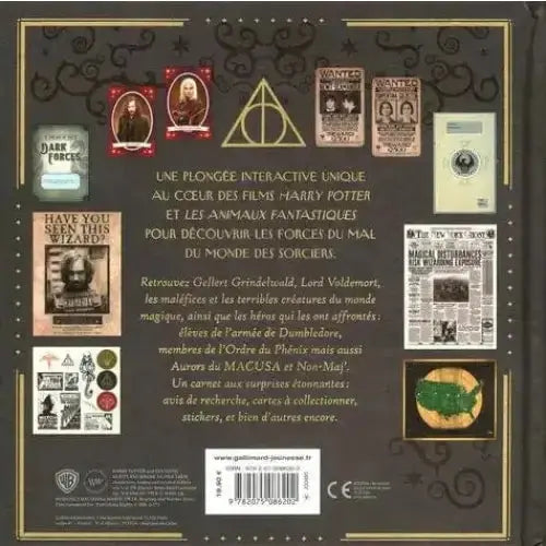 Le Carnet Magique, Les Forces du Mal Harry Potter