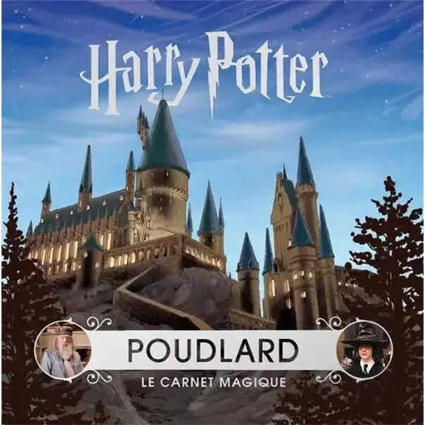 Le Carnet Magique, Poudlard Harry Potter