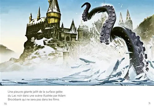 Livre Harry Potter : Les Lieux Magiques, Mini Grimoire T3