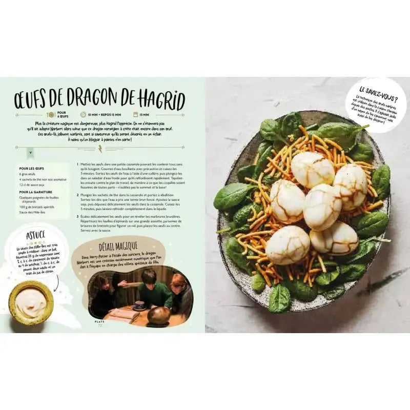 Livre de cuisine Harry Potter - 43 recettes