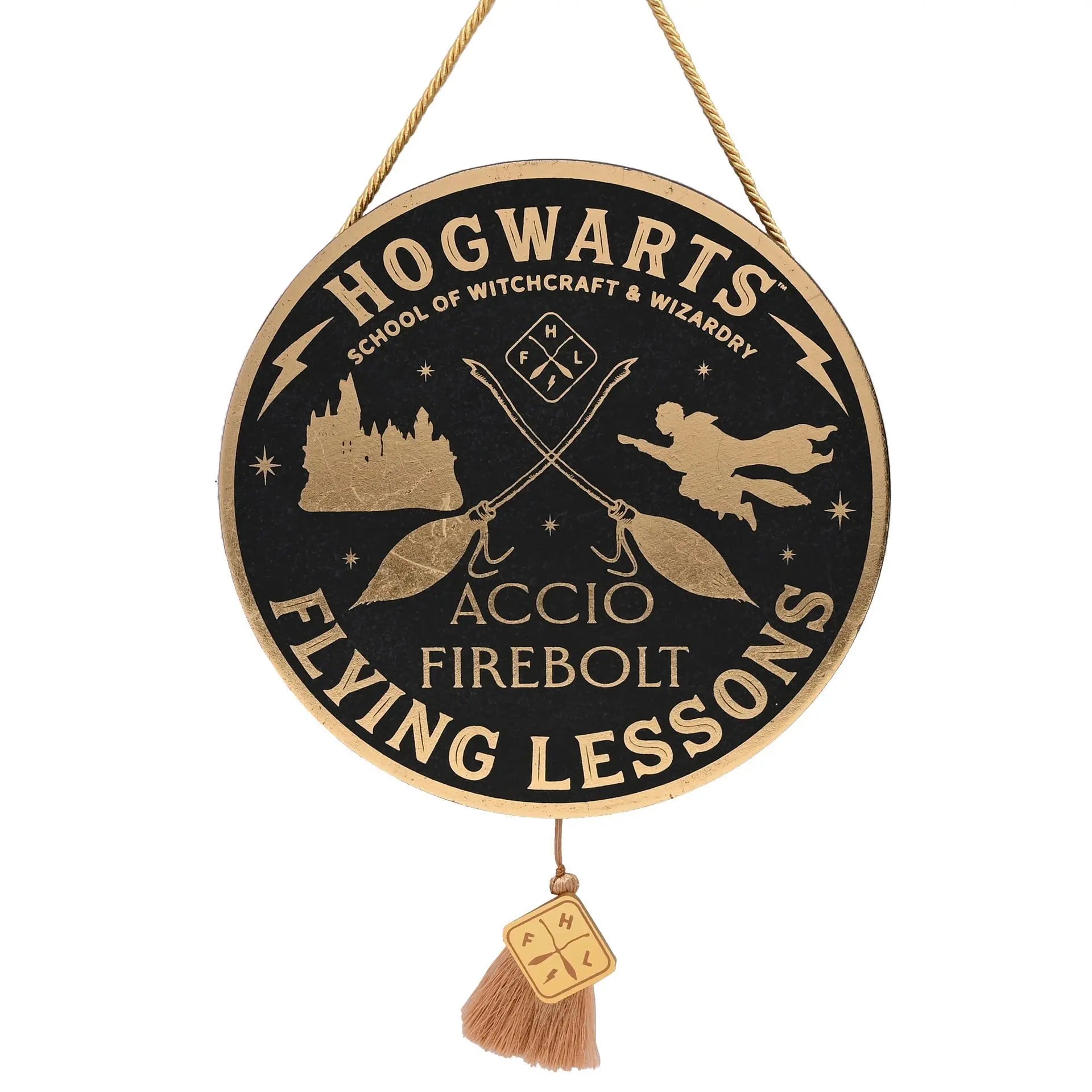 Plaque suspendue Leçon de Vol Harry Potter, 350 mm