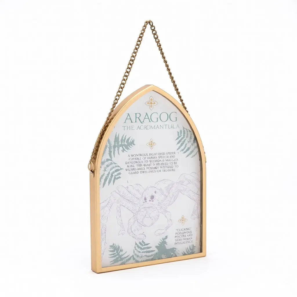 Plaque en verre Aragog 27 x 13,5 cm