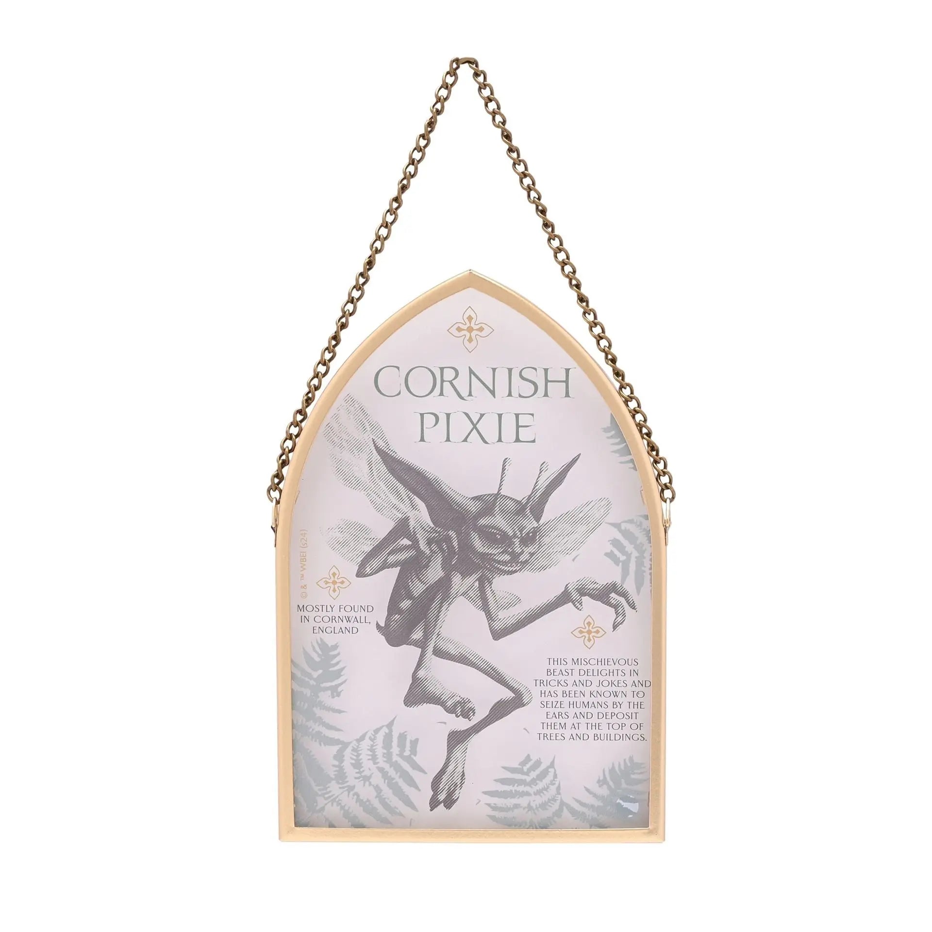 Plaque en verre Lutin de Cornouailles 27 x 13,5 cm
