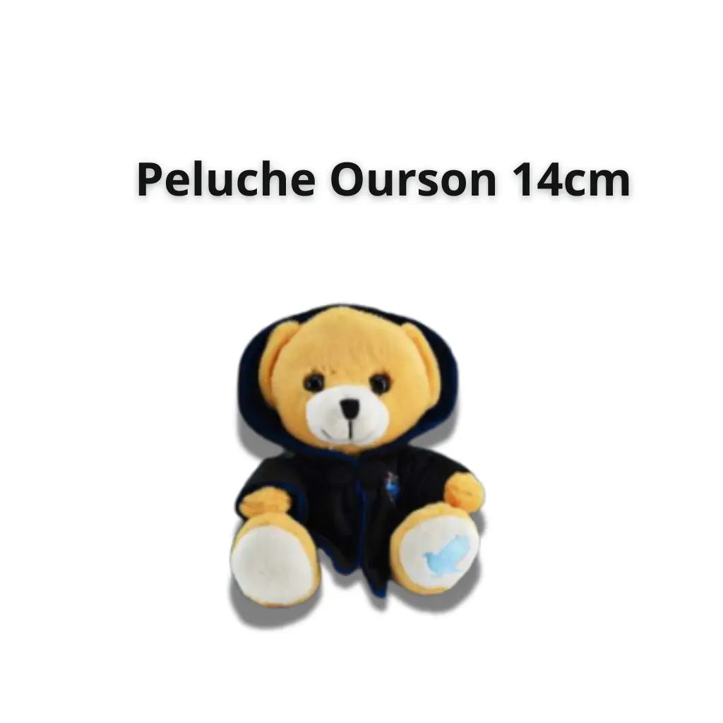 Peluche Ourson Poufsouffle 14 cm