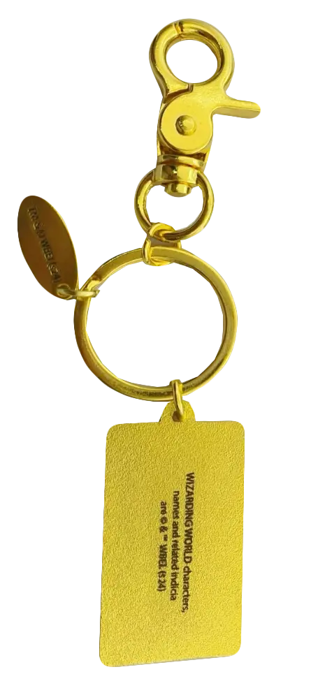 Porte-Clés Ticket Poudlard Express, Harry Potter