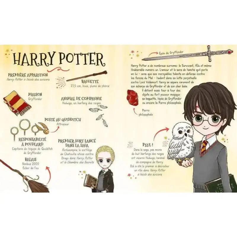 Poudlard, le dressing Harry Potter