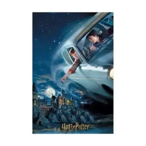 Puzzle 3D Lenticulaire Harry et Ron