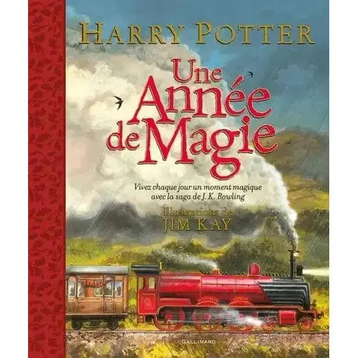 Une Année de Magie par Jim Kay Harry Potter