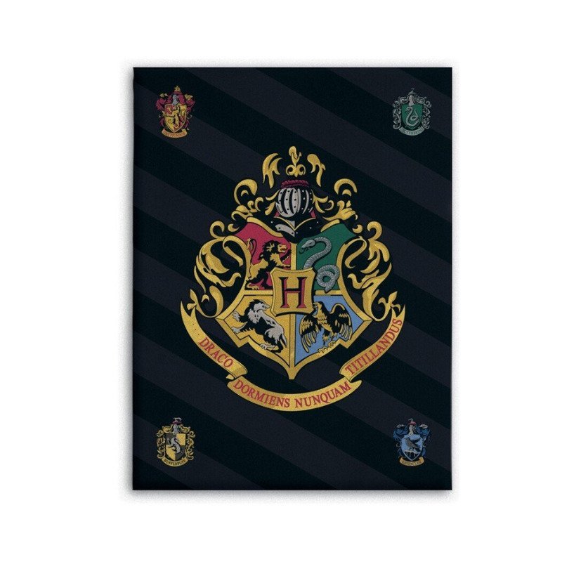 Plaid Harry Potter Poudlard en polaire