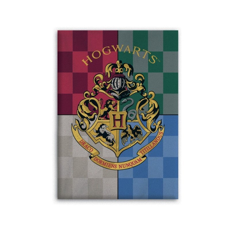 Plaid Harry Potter en polaire microfibre 140 cm