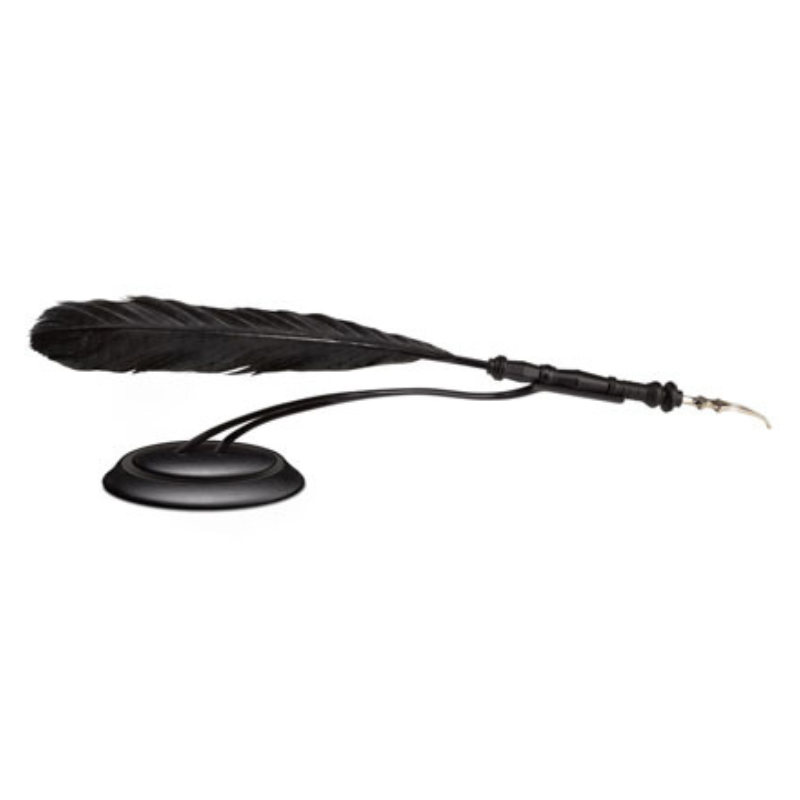 Plume de Dolores Ombrage 20 cm